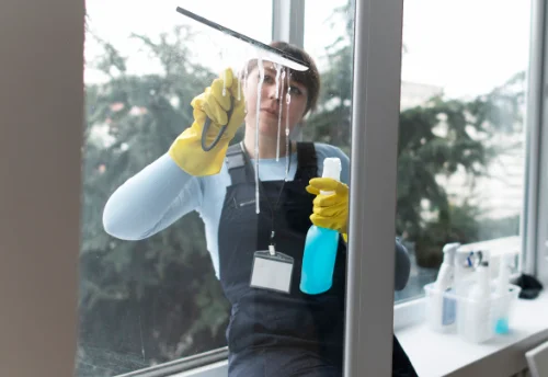 Nettoyage de vitres intérieures et extérieures à Bauzy